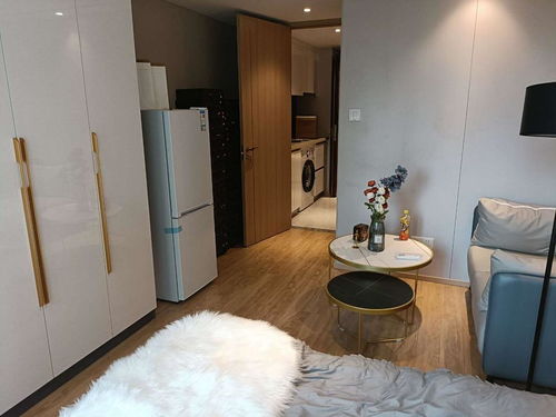 都市安家优选 地铁2号线三墩站旁，龙湖天街商圈个人直租双钥匙房源